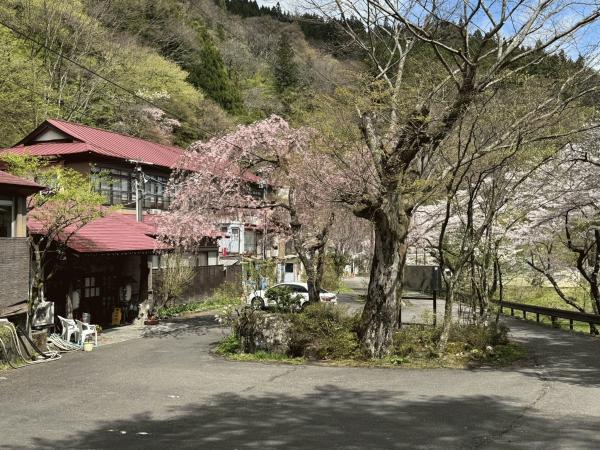 川上温泉の今の様子
