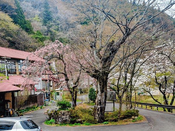 川上温泉の今の様子